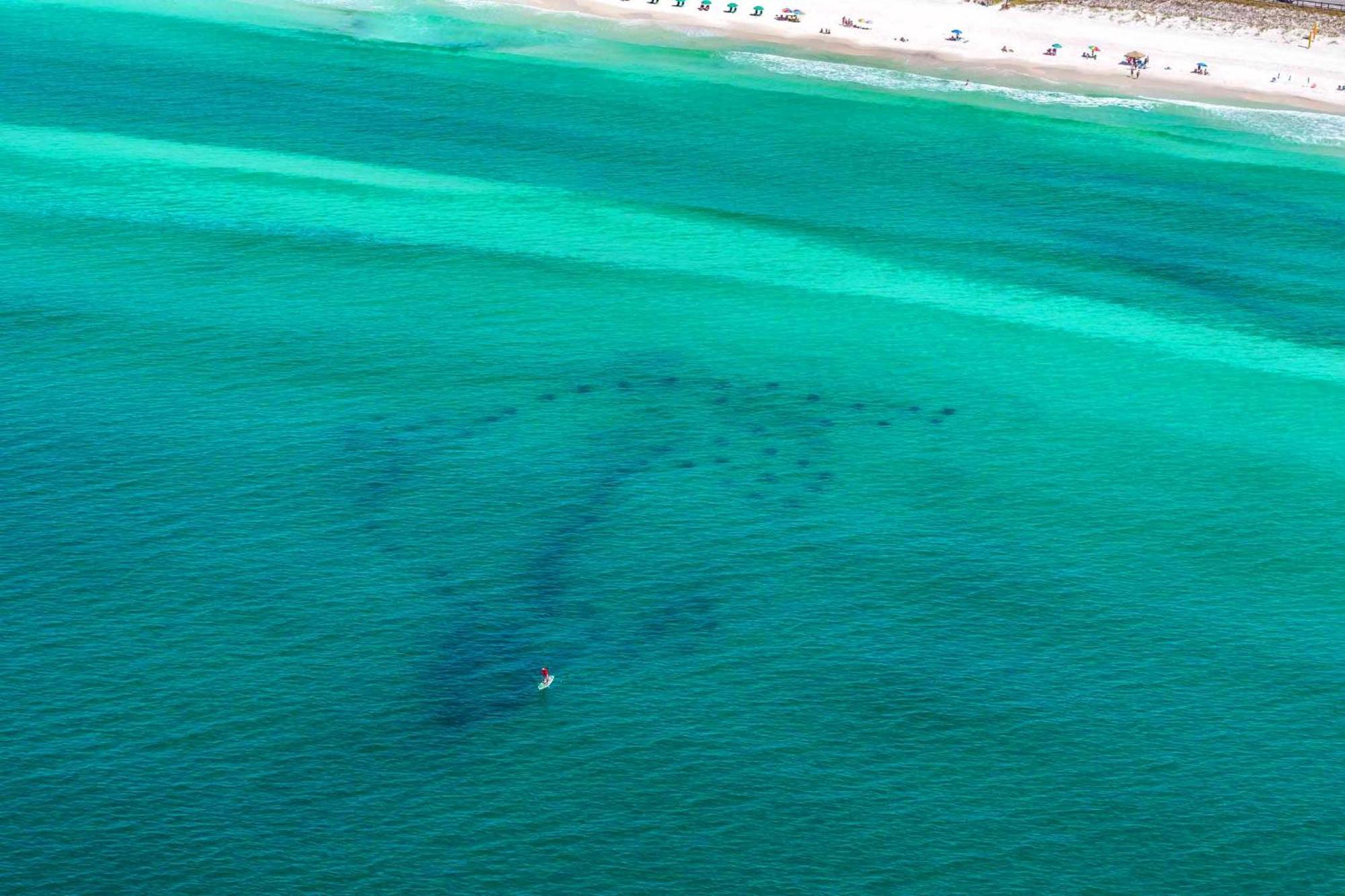 Ariel Dunes I 1502 Destin Eksteriør billede